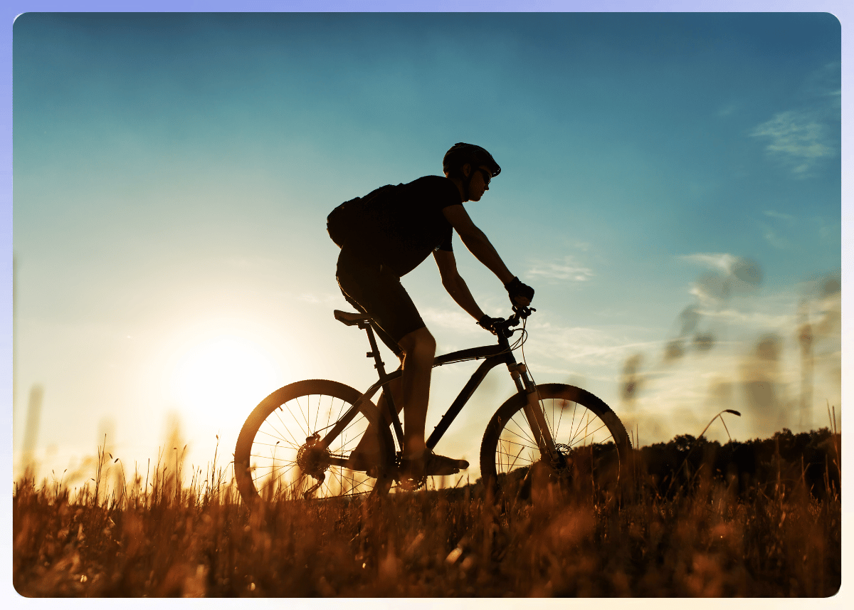 Bicycle Banner Image