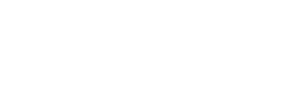 The Cabin Place