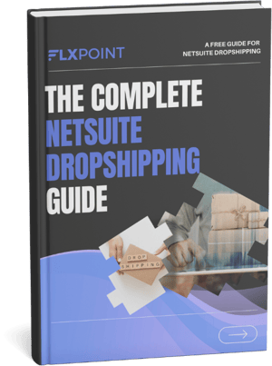 NetSuite Guide Ad 2