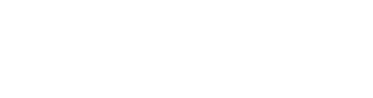 SS_LOGO_2024_MASTER_WHITE-1