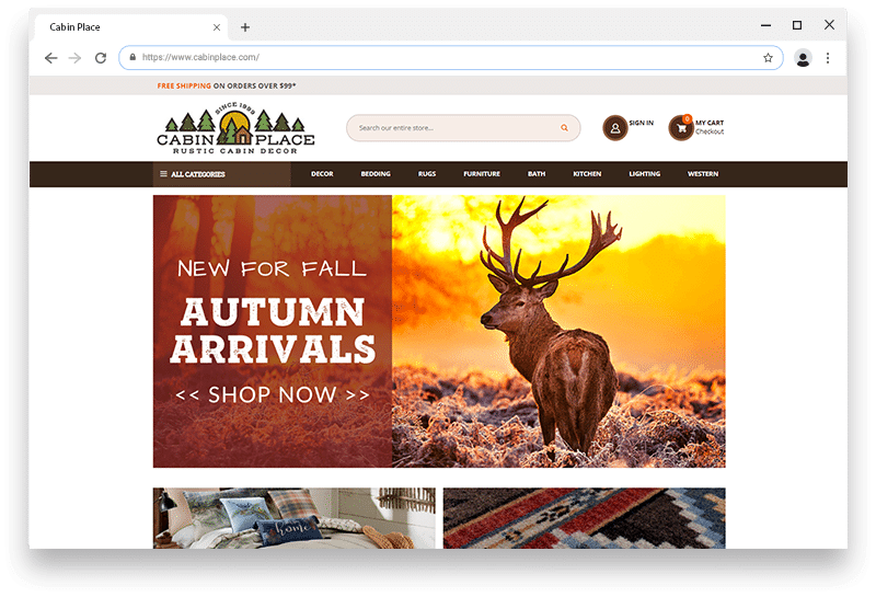 cabin place store website cabin place customer success story