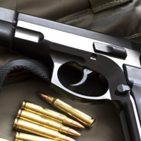 Firearms Dealers